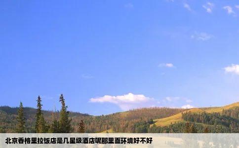 北京香格里拉饭店是几星级酒店呢那里面环境好不好