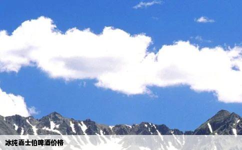 冰纯嘉士伯啤酒价格