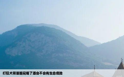 打狂犬预苗期间喝了酒会不会有生命危险