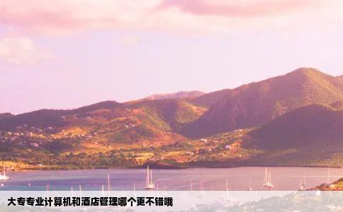 大专专业计算机和酒店管理哪个更不错哦