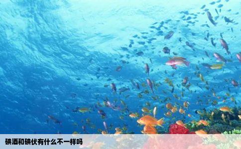 碘酒和碘伏有什么不一样吗