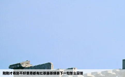 刚刚才看到不好意思都有红茶藤茶绿茶下一句怎么回答