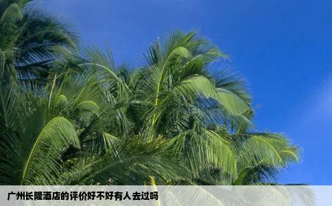 广州长隆酒店的评价好不好有人去过吗