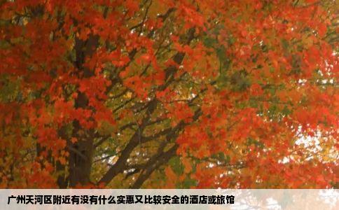 广州天河区附近有没有什么实惠又比较安全的酒店或旅馆