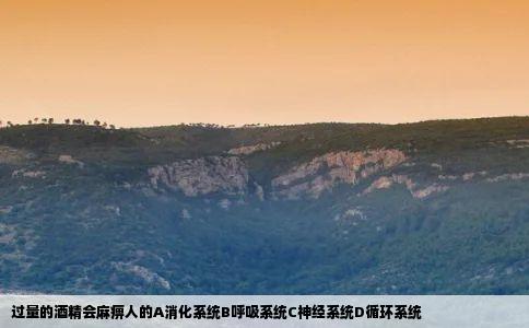 过量的酒精会麻痹人的A消化系统B呼吸系统C神经系统D循环系统