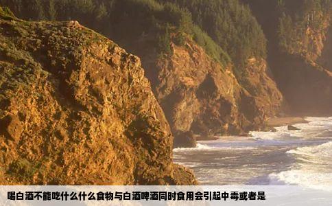 喝白酒不能吃什么什么食物与白酒啤酒同时食用会引起中毒或者是