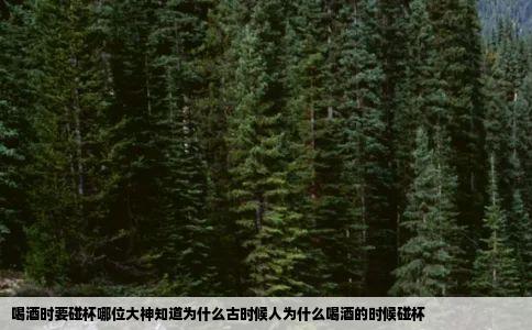 喝酒时要碰杯哪位大神知道为什么古时候人为什么喝酒的时候碰杯