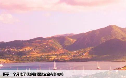 怀孕一个月吃了很多甜酒酿宝宝有影响吗