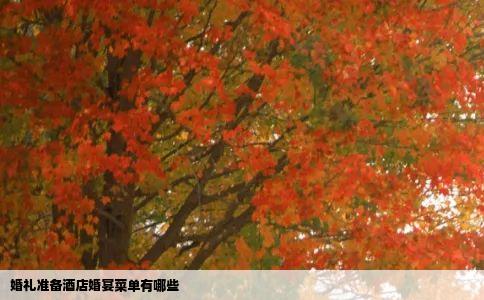 婚礼准备酒店婚宴菜单有哪些