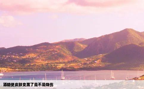 酒精使皮肤变黑了是不是烧伤