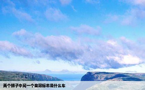 两个狮子中间一个皇冠标志是什么车