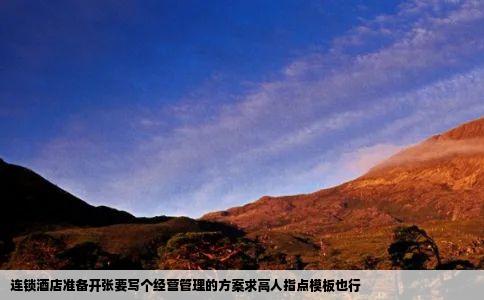 连锁酒店准备开张要写个经营管理的方案求高人指点模板也行