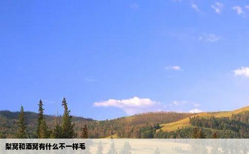 梨窝和酒窝有什么不一样毛