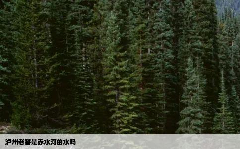 泸州老窖是赤水河的水吗