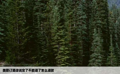 美团订酒店说定了不能退了怎么退款