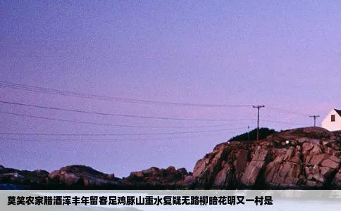 莫笑农家腊酒浑丰年留客足鸡豚山重水复疑无路柳暗花明又一村是