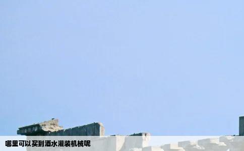 哪里可以买到酒水灌装机械呢