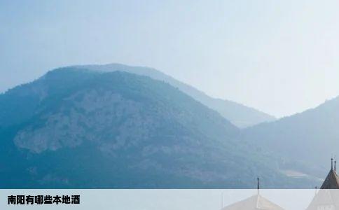 南阳有哪些本地酒