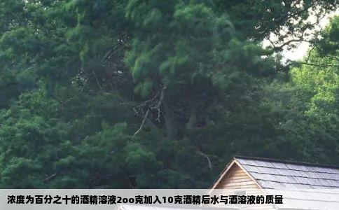 浓度为百分之十的酒精溶液2oo克加入10克酒精后水与酒溶液的质量