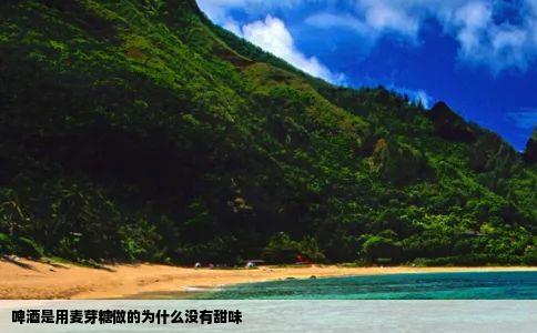啤酒是用麦芽糖做的为什么没有甜味