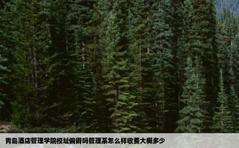 青岛酒店管理学院校址偏僻吗管理系怎么样收费大概多少