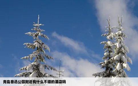 青岛鲁迅公园附近有什么不错的酒店吗