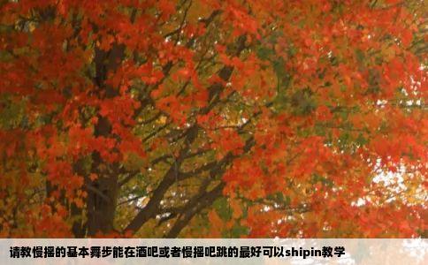 请教慢摇的基本舞步能在酒吧或者慢摇吧跳的最好可以shipin教学