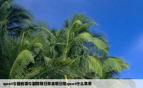 quot今朝有酒今朝醉明日愁来明日愁quot什么意思