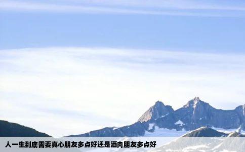 人一生到底需要真心朋友多点好还是酒肉朋友多点好