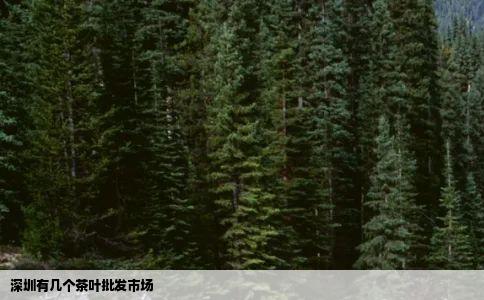 深圳有几个茶叶批发市场