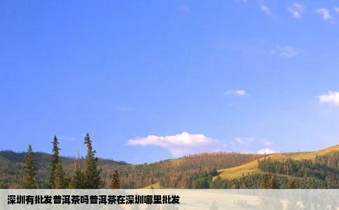 深圳有批发普洱茶吗普洱茶在深圳哪里批发
