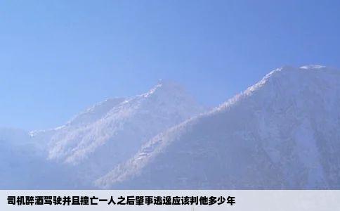 司机醉酒驾驶并且撞亡一人之后肇事逃逸应该判他多少年