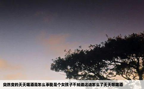 突然变的天天喝酒是怎么事我是个女孩子不知道这进怎么了天天想喝酒