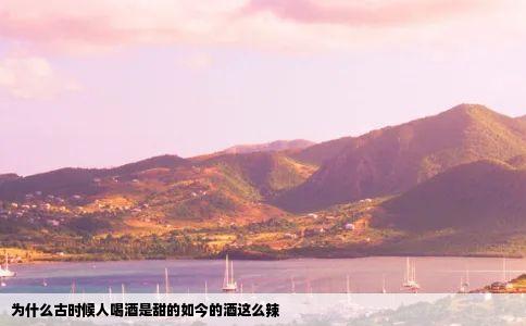 为什么古时候人喝酒是甜的如今的酒这么辣