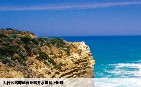 为什么喝啤酒要比喝开水容易上厕所