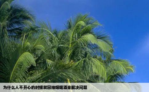 为什么人不开心的时候就回抽烟喝酒来解决问题