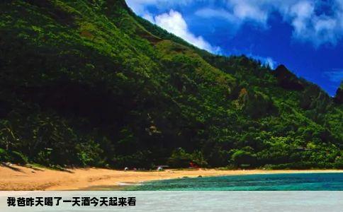 我爸昨天喝了一天酒今天起来看