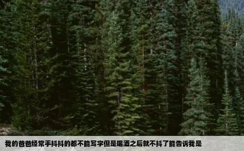 我的爸爸经常手抖抖的都不能写字但是喝酒之后就不抖了能告诉我是