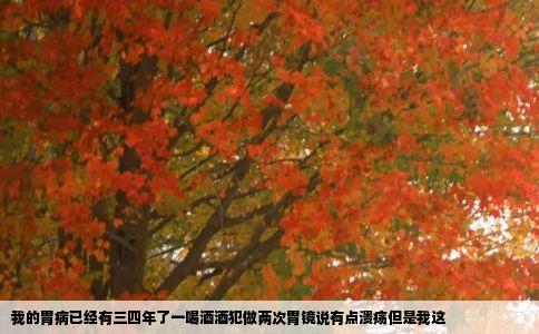 我的胃病已经有三四年了一喝酒酒犯做两次胃镜说有点溃疡但是我这