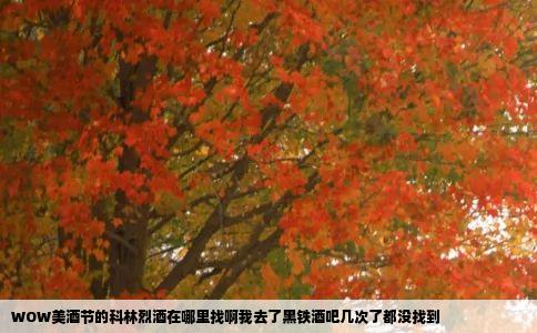 WOW美酒节的科林烈酒在哪里找啊我去了黑铁酒吧几次了都没找到