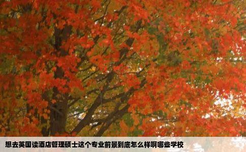 想去英国读酒店管理硕士这个专业前景到底怎么样啊哪些学校