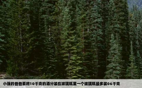 小强的爸爸要将10千克的酒分装在玻璃瓶里一个玻璃瓶最多装06千克