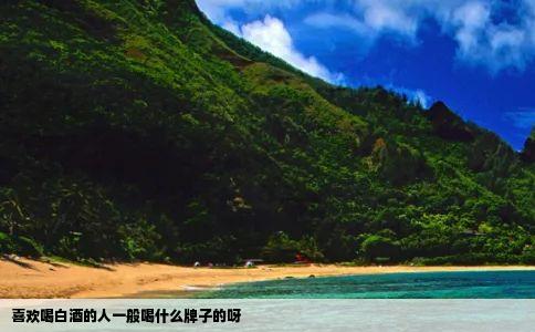 喜欢喝白酒的人一般喝什么牌子的呀