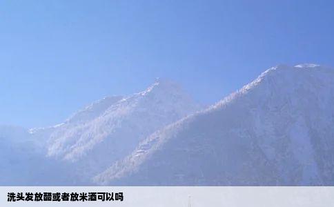 洗头发放醋或者放米酒可以吗