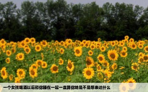 一个女孩喝酒以后和你睡在一起一直踢你她是不是想表达什么