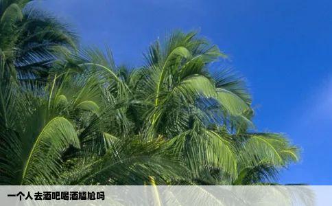 一个人去酒吧喝酒尴尬吗