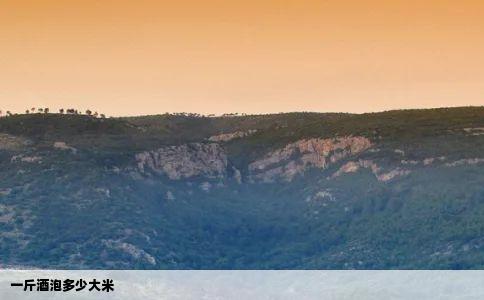 一斤酒泡多少大米