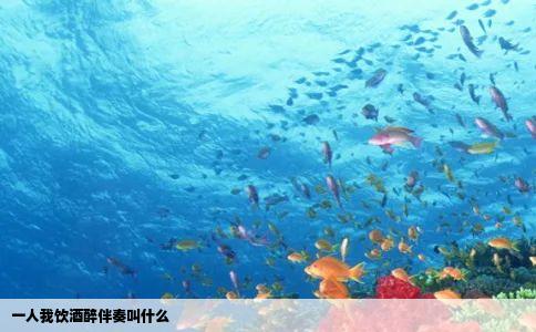 一人我饮酒醉伴奏叫什么