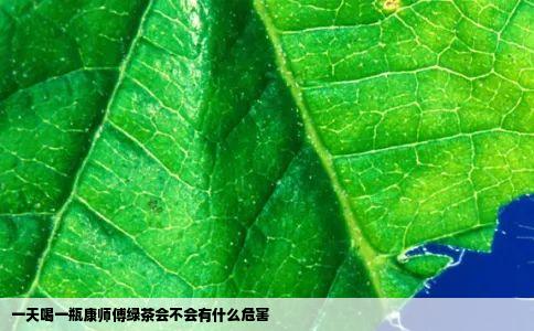 一天喝一瓶康师傅绿茶会不会有什么危害