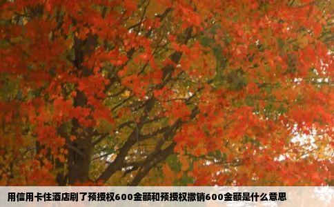 用信用卡住酒店刷了预授权600金额和预授权撒销600金额是什么意思